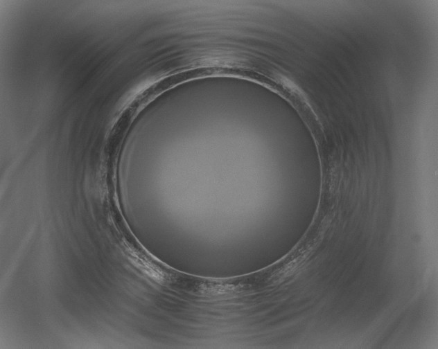 X0000060571019200511031304