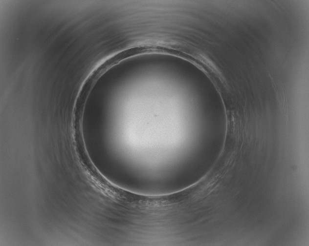 X0000060571020200511031304