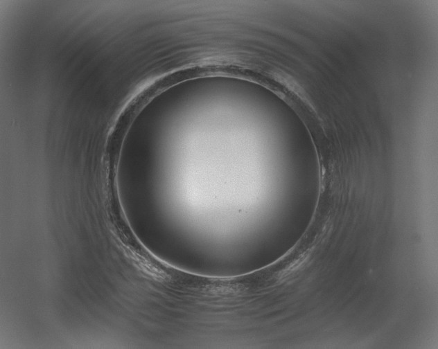 X0000060571021200511031304