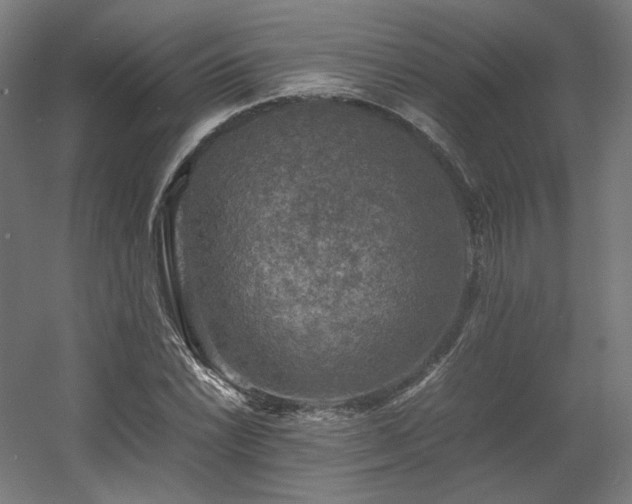 X0000060571022200511031304