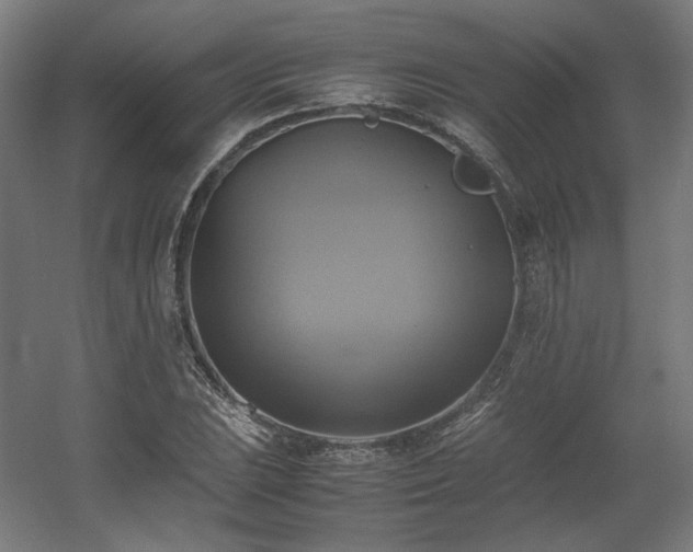 X0000060571023200511031304