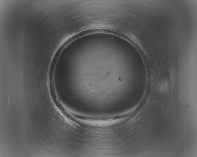X0000060571024200511031304
