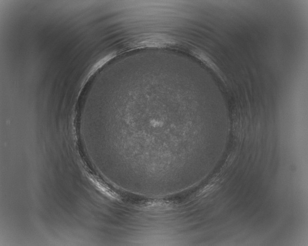 X0000060571026200511031304