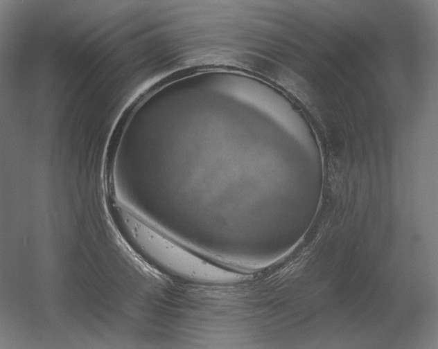 X0000060571028200511031304