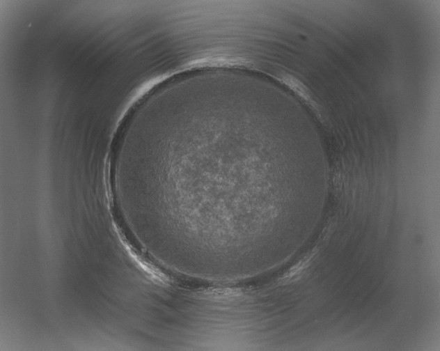 X0000060571030200511031304
