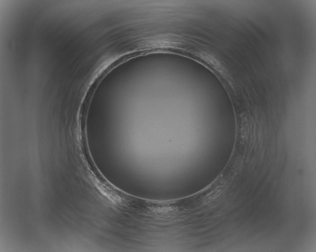 X0000060571031200511031304
