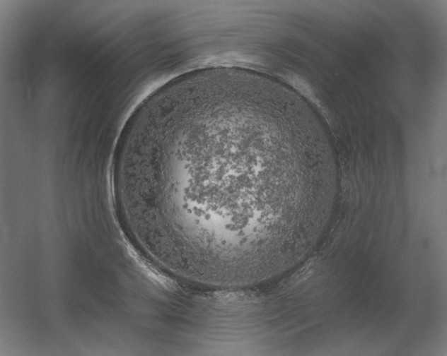 X0000060571032200511031304