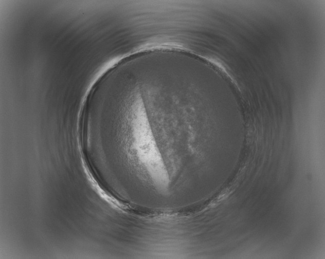 X0000060571038200511031304