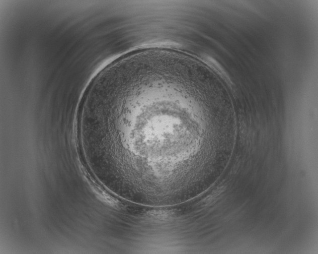 X0000060571044200511031304