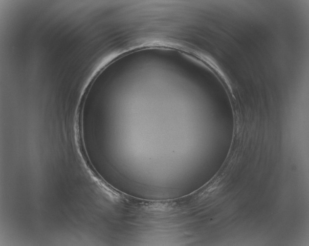 X0000060571048200511031304