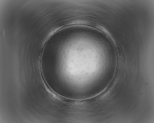 X0000060571049200511031304