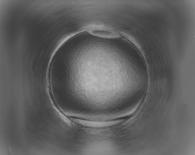 X0000060571056200511031304