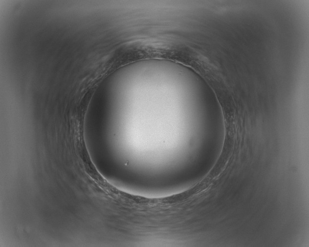 X0000060571061200511031303