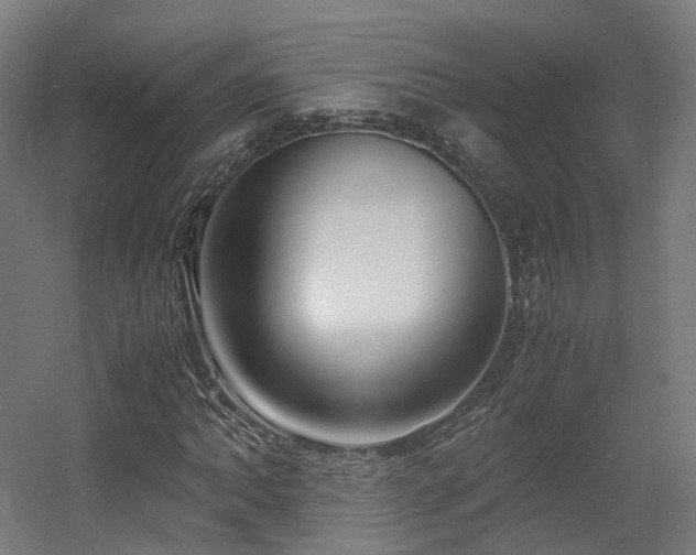 X0000060571062200511031303