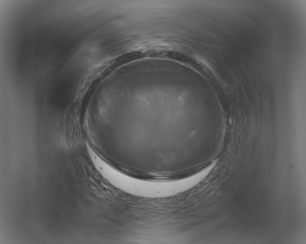 X0000060571063200511031303