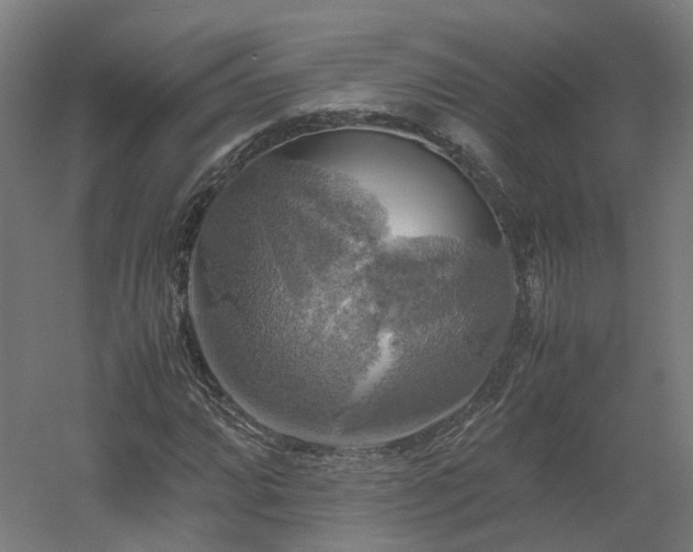 X0000060571064200511031303
