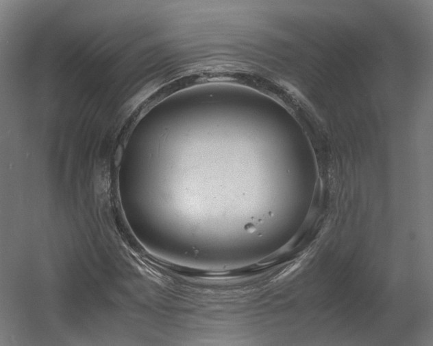 X0000060571065200511031303