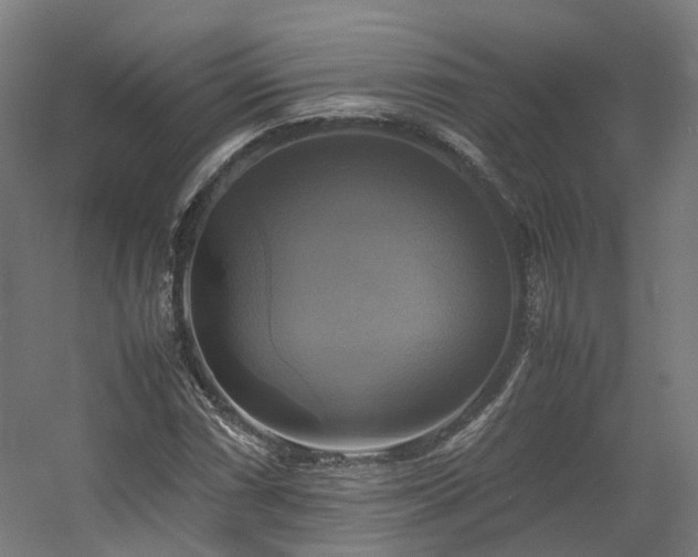 X0000060571066200511031303