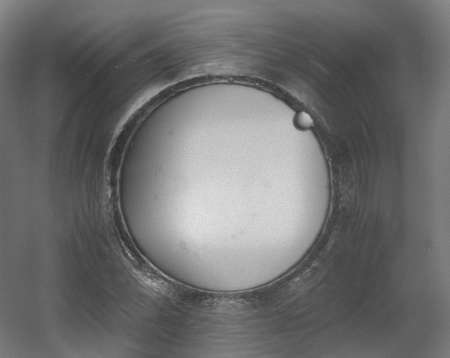 X0000060571070200511031303