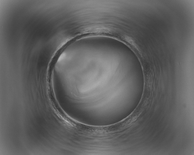 X0000060571071200511031303
