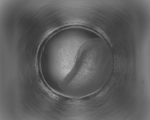 X0000060571072200511031303