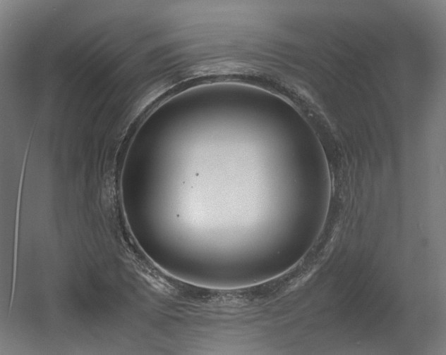 X0000060571073200511031303
