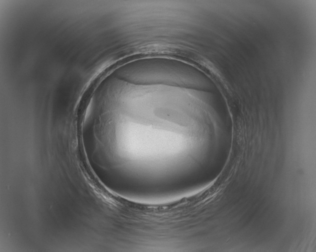 X0000060571075200511031303