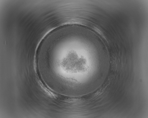 X0000060571076200511031303
