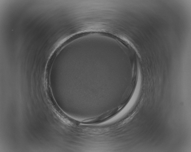 X0000060571077200511031303