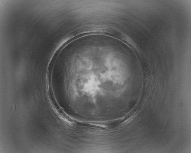 X0000060571079200511031303
