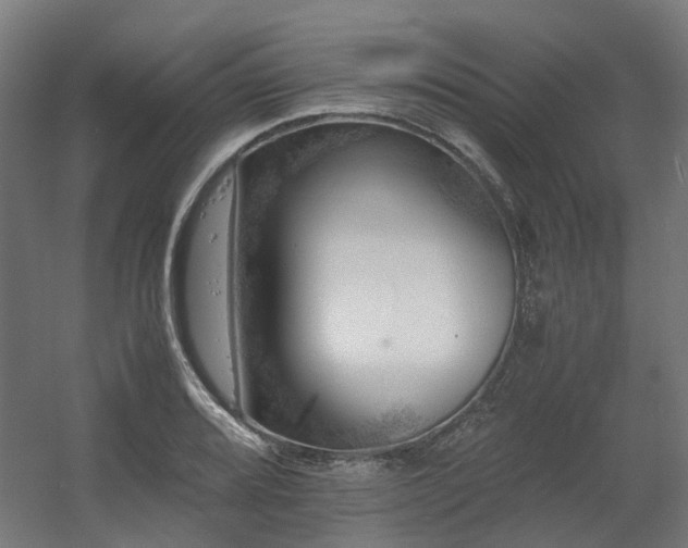 X0000060571080200511031303
