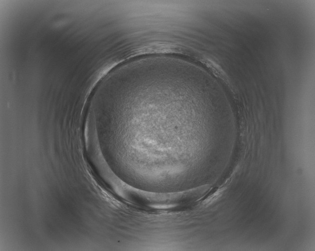 X0000060571081200511031303