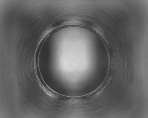 X0000060571082200511031303