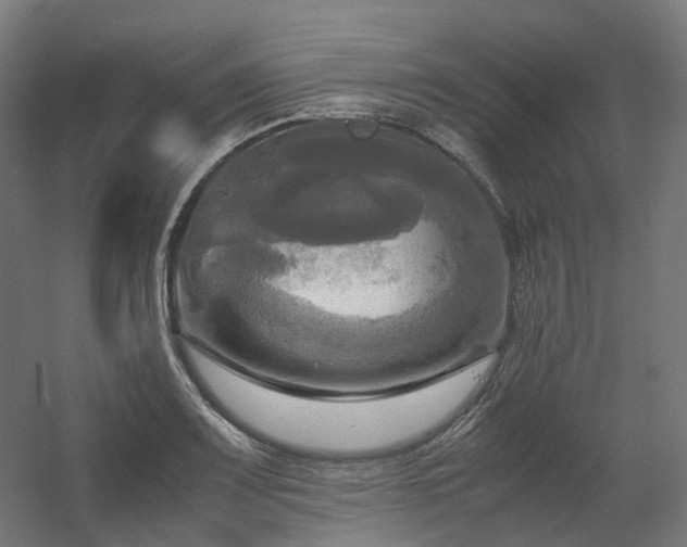 X0000060571083200511031303