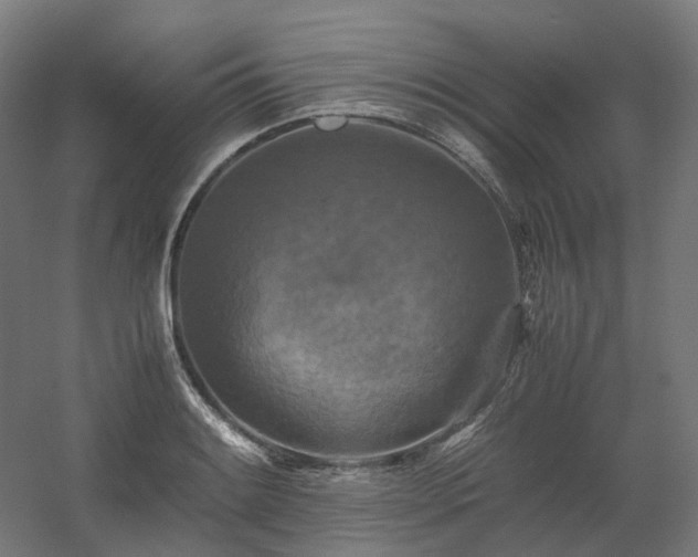 X0000060571084200511031303