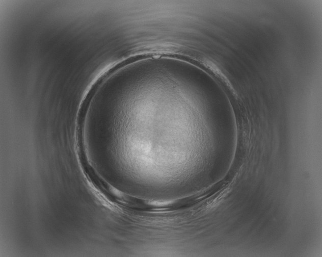 X0000060571085200511031303
