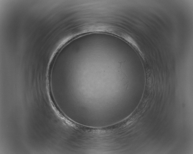 X0000060571088200511031303