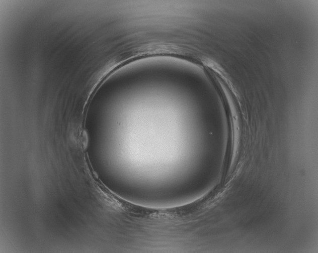 X0000060571089200511031303