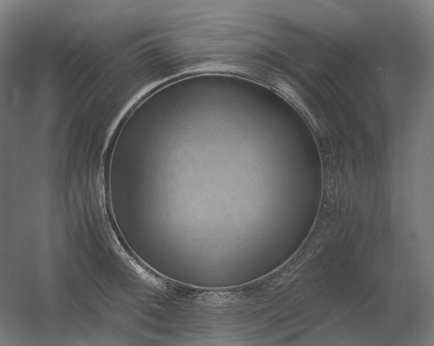 X0000060571092200511031303