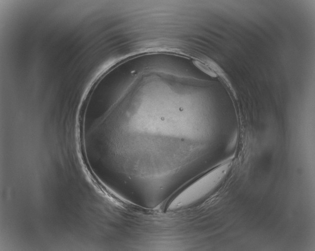 X0000060571096200511031303