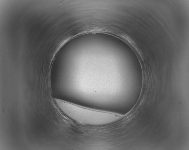 X0000060571097200511031303