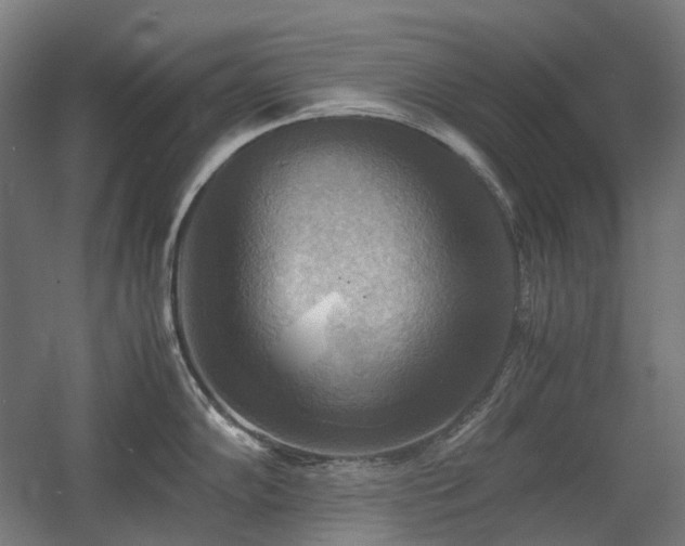 X0000060571102200511031303