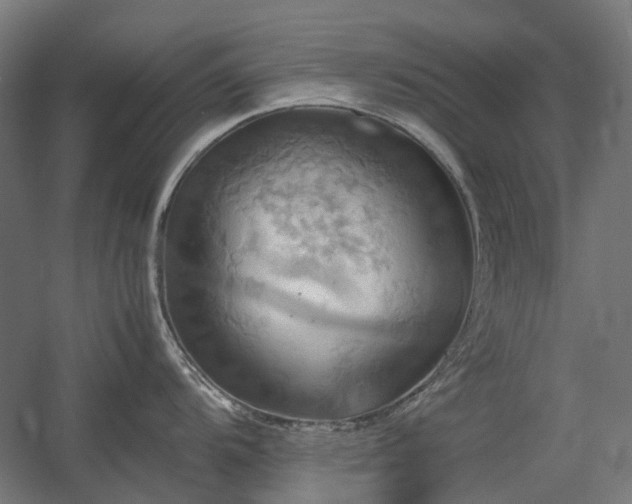 X0000060571104200511031303