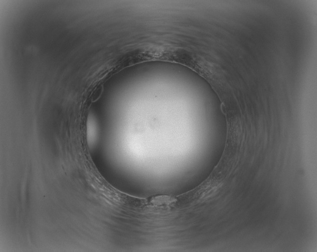 X0000060571105200511031302