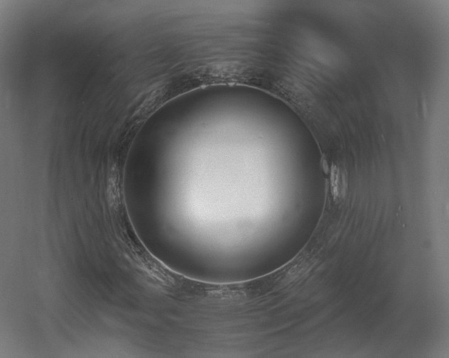 X0000060571107200511031302