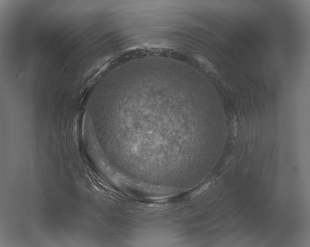 X0000060571110200511031302