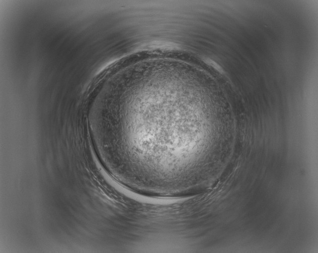X0000060571112200511031302
