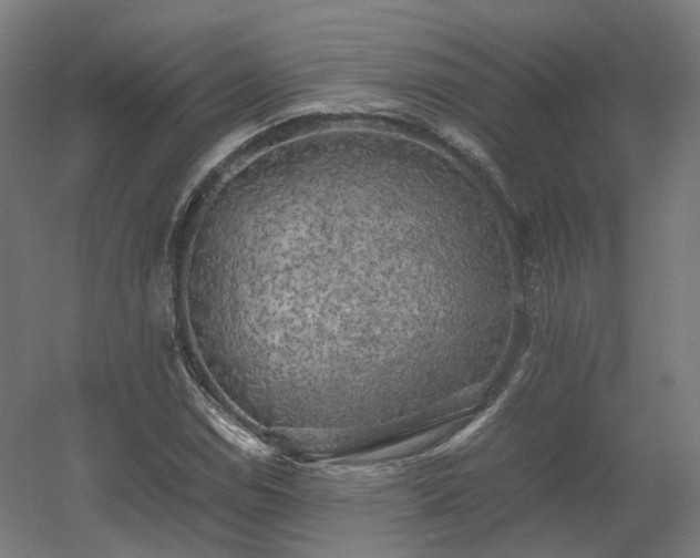 X0000060571114200511031302
