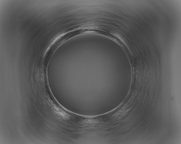 X0000060571115200511031302
