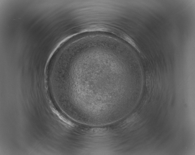 X0000060571116200511031302